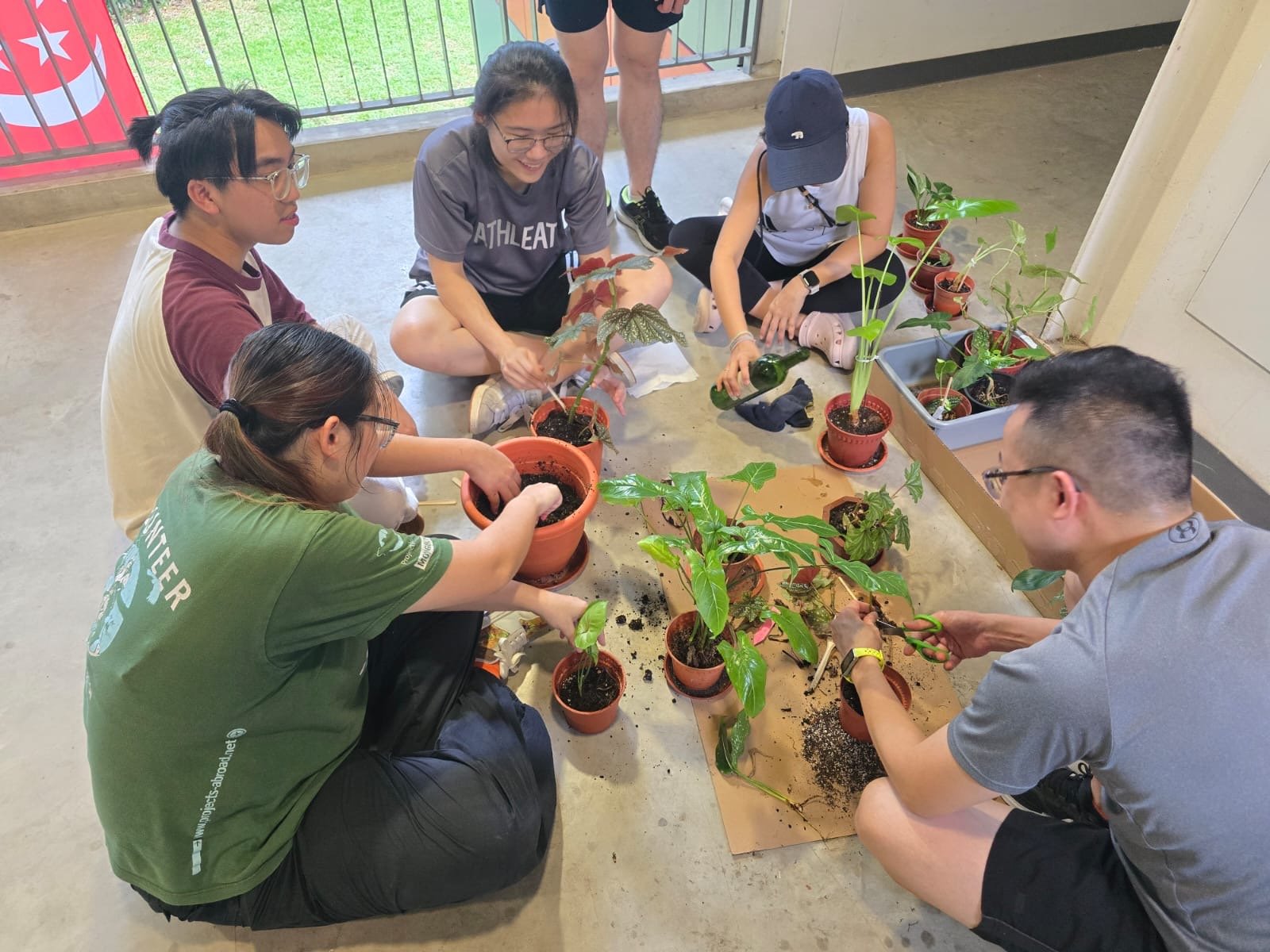 The team potting plants for the office